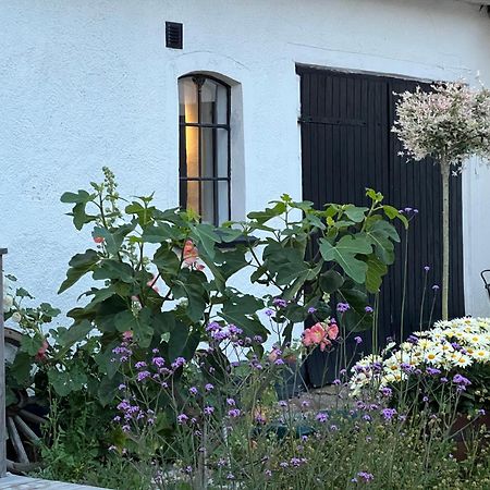 Backadal Gard Bnb Ystad Zewnętrze zdjęcie