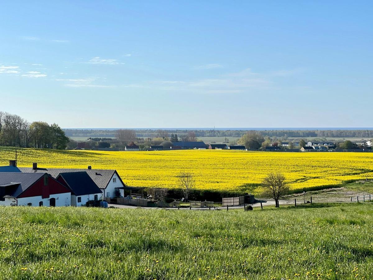 Backadal Gard Bnb Ystad Zewnętrze zdjęcie