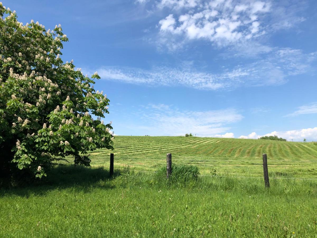 Backadal Gard Bnb Ystad Zewnętrze zdjęcie