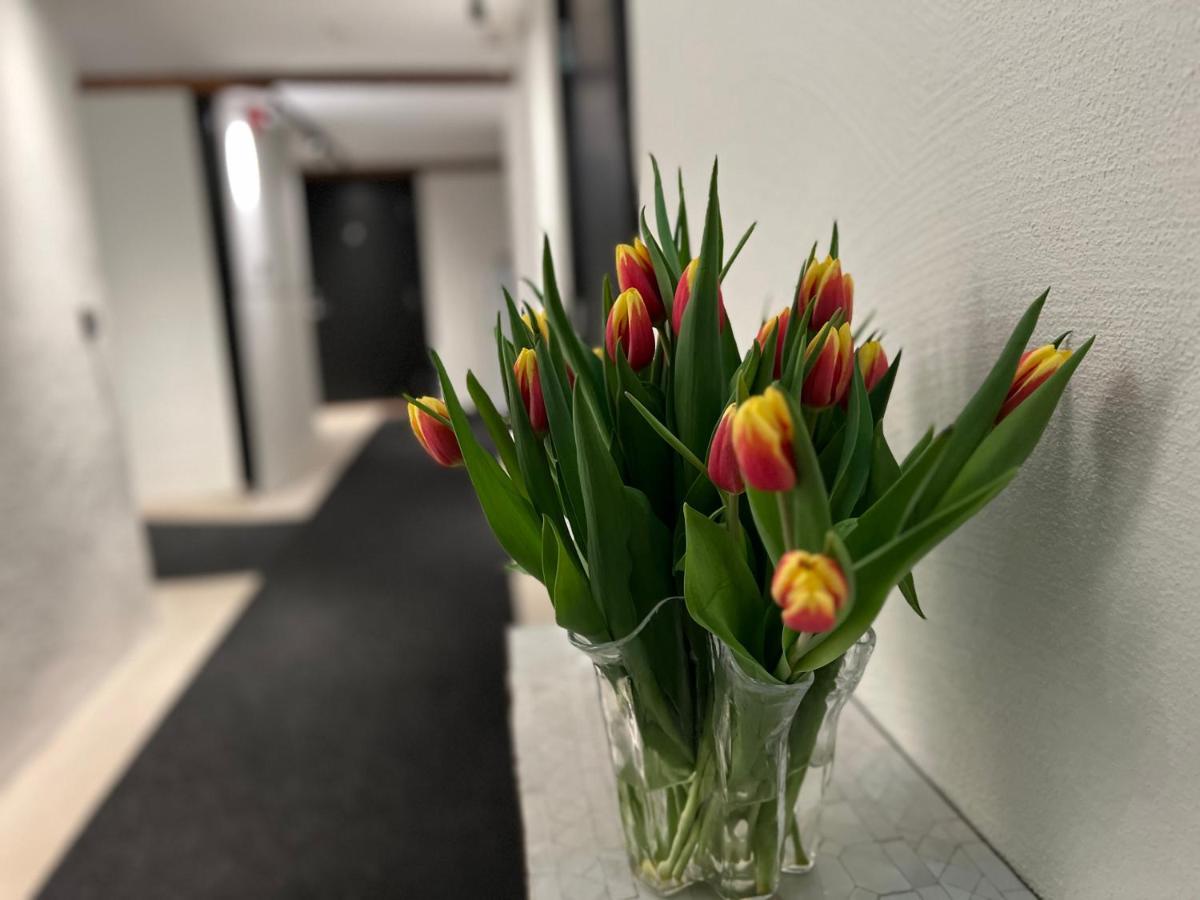 Backadal Gard Bnb Ystad Zewnętrze zdjęcie