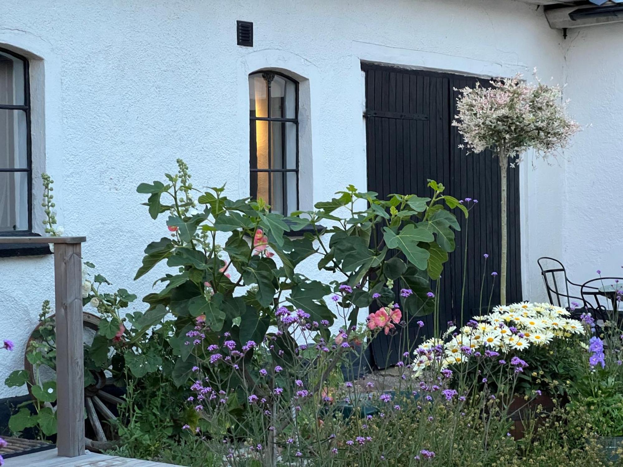 Backadal Gard Bnb Ystad Zewnętrze zdjęcie