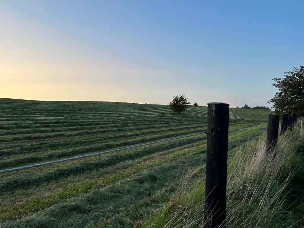 Backadal Gard Bnb Ystad Zewnętrze zdjęcie