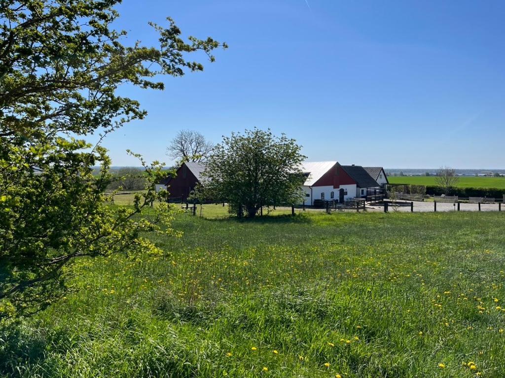 Backadal Gard Bnb Ystad Zewnętrze zdjęcie