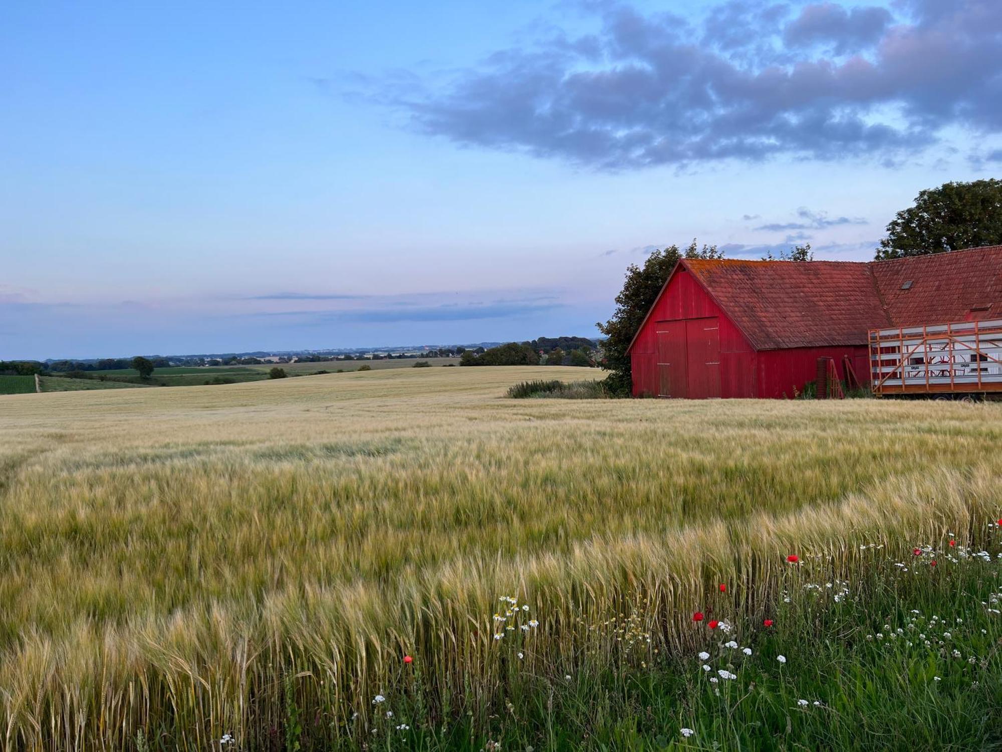 Backadal Gard Bnb Ystad Zewnętrze zdjęcie